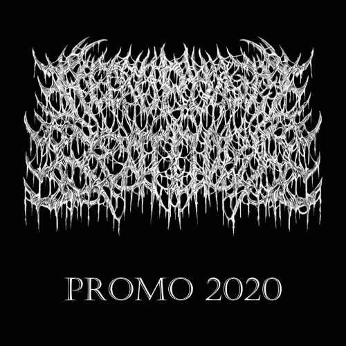 Necrophilic Beatdown : Promo 2020